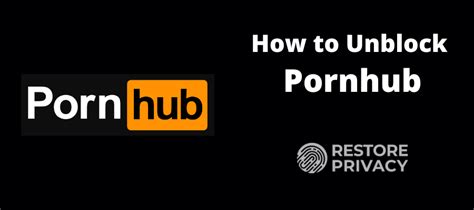 free ponr hub|How to unblock Pornhub for free from anywhere in the world.